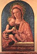 BELLINI, Giovanni Madonna and Child du7 oil on canvas